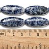 Natural Blue Spot Jasper Beads Strands G-B078-E07-01-5