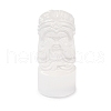 Natural Selenite Figurines DJEW-Q006-01I-1