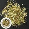 Shining Nail Art Glitter Powders MRMJ-R091-26L-1