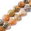 Natural Crazy Agate Beads Strands G-I372-A08-01-2