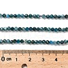 Natural Apatite Beads Strands G-RM2025-28-3mm-5