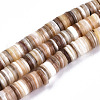 Natural Freshwater Shell Beads Strands SHEL-N003A-02-2
