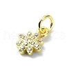 Brass Micro Pave Clear Cubic Zirconia Charms KK-H475-59G-07-2