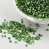 11/0 Two Cut Glass Seed Beads X-CSDB27-1