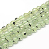 Natural Prehnite Beads Strands G-R446-10mm-16-1