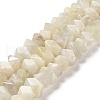 Natural White Moonstone Beads Strands G-N327-05-04-1
