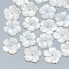 Natural White Shell Beads SSHEL-S260-080-1