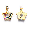 316 Surgical Stainless Steel Charms STAS-N097-009LG-3