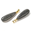 Natural Labradorite Pendants G-Q192-07G-06-2
