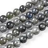 Grade AA Natural Gemstone Labradorite Round Beads Strands G-E251-33-10mm-4