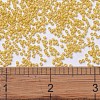 MIYUKI Delica Beads SEED-J020-DB2102-4
