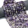 Natural Amethyst Beads Strands G-P573-C01-01-1