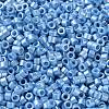 Baking Paint Glass Seed Beads X-SEED-S042-15A-11-3