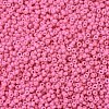 MIYUKI Round Rocailles Beads SEED-G007-RR1385-1