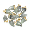 Natural Labradorite Pointed Pendants G-Q966-02-1