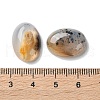 Natural Dendritic Agate Cabochons G-B138-02A-3