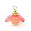 Transparent Acrylic Pendants PALLOY-MZ00738-4