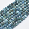 Natural Apatite Beads Strands G-F547-37-5mm-1