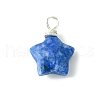 DICOSMETIC 12Pcs Natural Mixed Stone Pendants G-DC0001-12-2