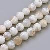 Natural Fire Crackle Agate Beads Strands X-G-S249-09-8mm-1
