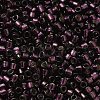 Glass Seed Beads SEED-S042-04B-30-3