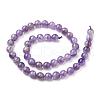 Natural Gemstone Beads Strands X-G-S036-5