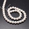 Shell Pearl Beads Strands X-BSHE-E008-14mm-12-2