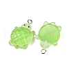 Gradient Color & Luminous Opaque Resin Pendants RESI-S011-01F-4