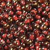 Glass Seed Beads X1-SEED-H002-B-D205-3