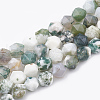 Natural Tree Agate Beads Strands G-S332-12mm-010-1