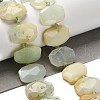 Natural Green Opal Beads Strands G-H078-B07-01-2