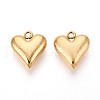 304 Stainless Steel Charms STAS-N109-177G-1