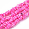 Natural Freshwater Shell Beads Strands SHEL-N003-23-B05-1