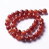 Natural Agate Beads Strands G-P434-09C-B-1