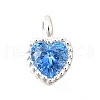 925 Sterling Silver Cubic Zirconia Charms STER-Q005-01A-D-1
