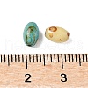 60Pcs 10G Baking Paint Glass Seed Beads GLAA-V001-06-3