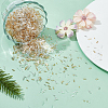 HOBBIESAY 2700 Pcs Glass Bugle Beads SEED-HY0001-21-4