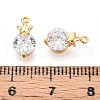Brass Micro Pave Cubic Zirconia Charms KK-N263-73B-G-3