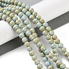 Natural Rainbow Alashan Agate Beads Strands G-NH0022-A01-01-2