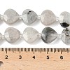 Natural Labradorite Beads Strands G-D316-A17-4