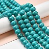 Natural Howlite Beads Strands G-B049-C01-07A-2