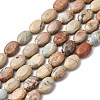 Natural Aqua Terra Jasper Beads Strands G-L624-E03-14x10mm-2