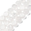 Natural Quartz Crystal Beads Strands G-C159-B11-01-1