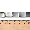 Natural Black Lip Shell Beads Strands BSHE-D300-03-10x14mm-4
