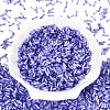 Glass Bugle Beads SEED-N007-28C-2