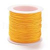 Nylon Thread X-NWIR-K013-B29-2