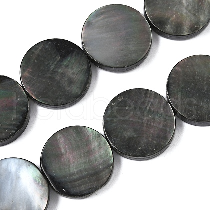 Natural Black Lip Shell Beads Strands BSHE-D300-05-20mm-1