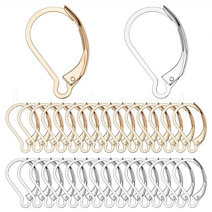 SUNNYCLUE 60Pcs 2 Colors 304 Stainless Steel Leverback Earring Findings STAS-SC0004-62-1