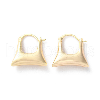 Rack Plating Brass Hoop Earrings EJEW-S241-21G-1
