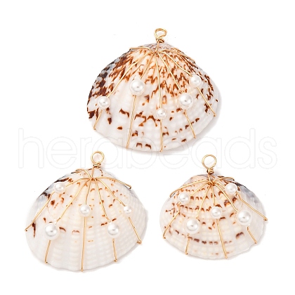 Natural Clam Shell Copper Wire Wrapped Pendants PALLOY-TA00268-1
